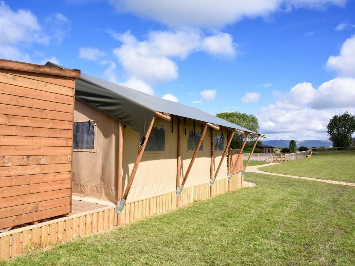 Carr'S Hill Luxury Safari Tents Denny Buitenkant foto